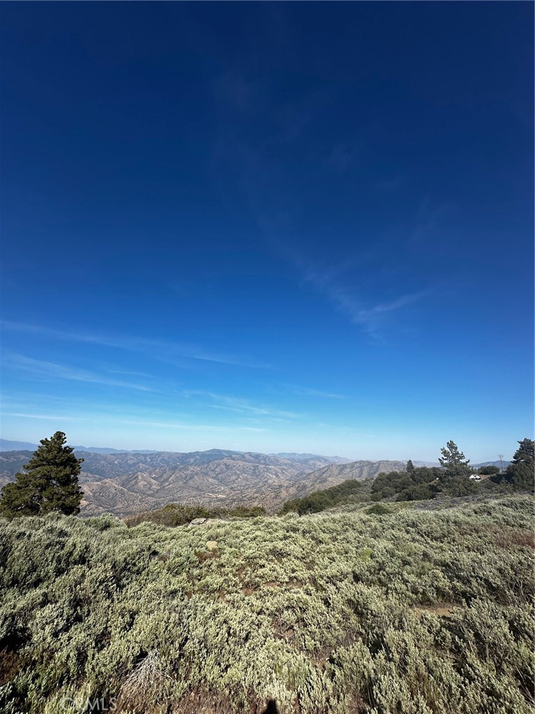 25840 Remington Court Property Photo 1