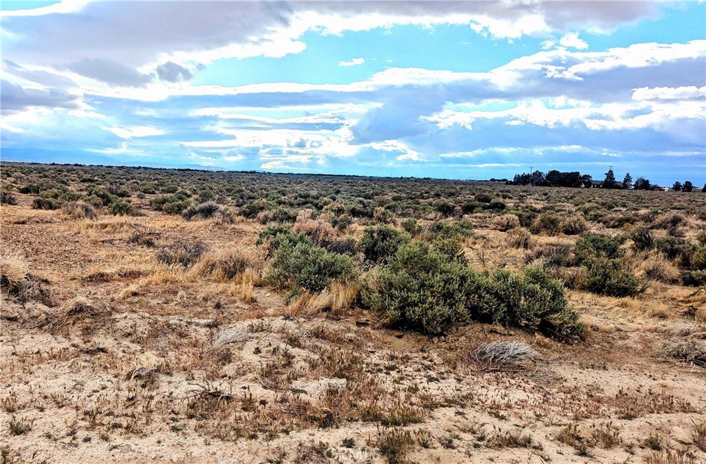 60 W Avenue E-10 Property Photo 1