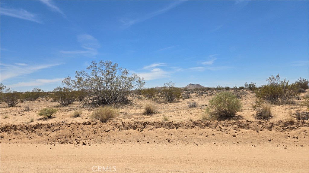 0 Randsburg Mojave Rd Property Photo 12