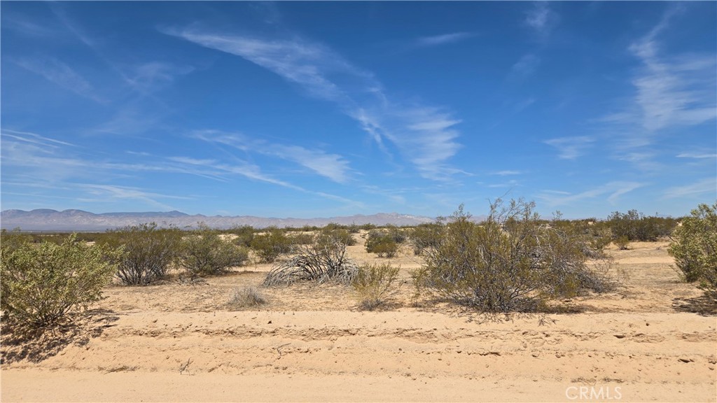 0 Randsburg Mojave Rd Property Photo 16