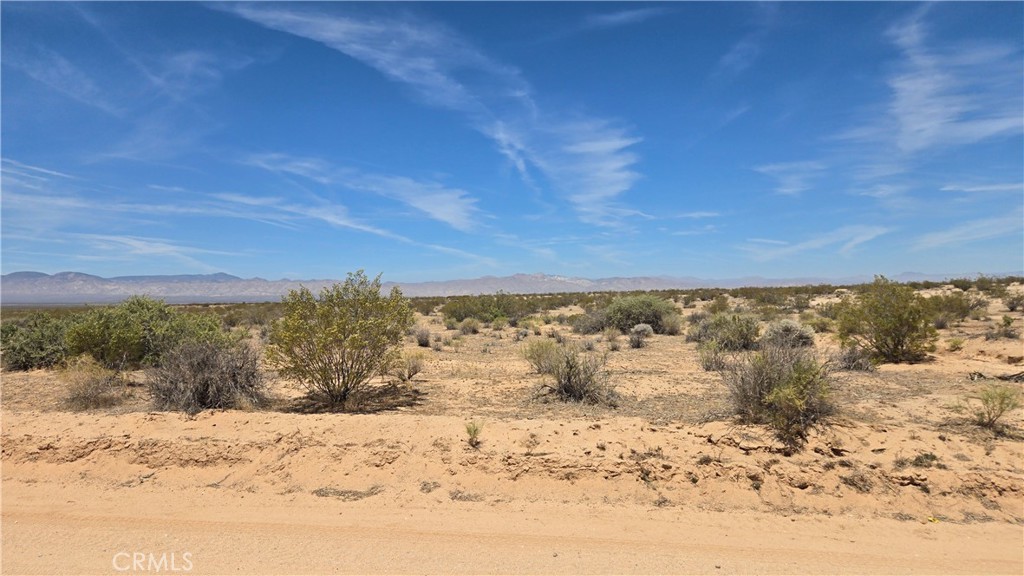 0 Randsburg Mojave Rd Property Photo 22
