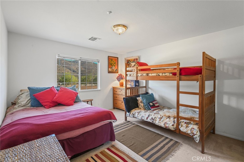 11709 Mint Canyon Road Property Photo 20
