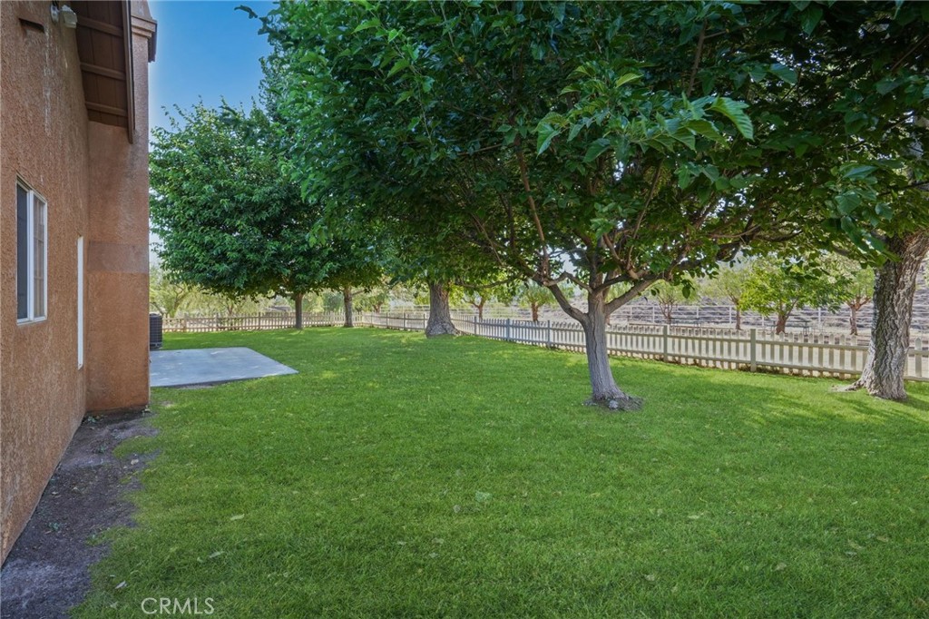 11709 Mint Canyon Road Property Photo 29