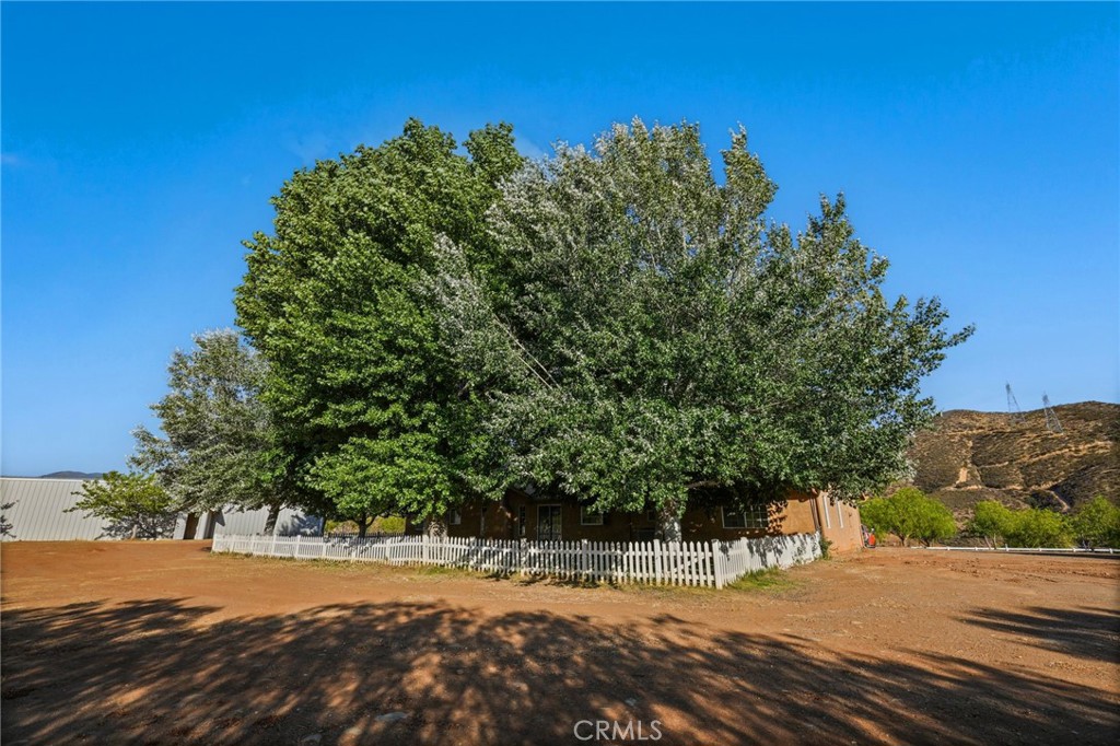 11709 Mint Canyon Road Property Photo 31