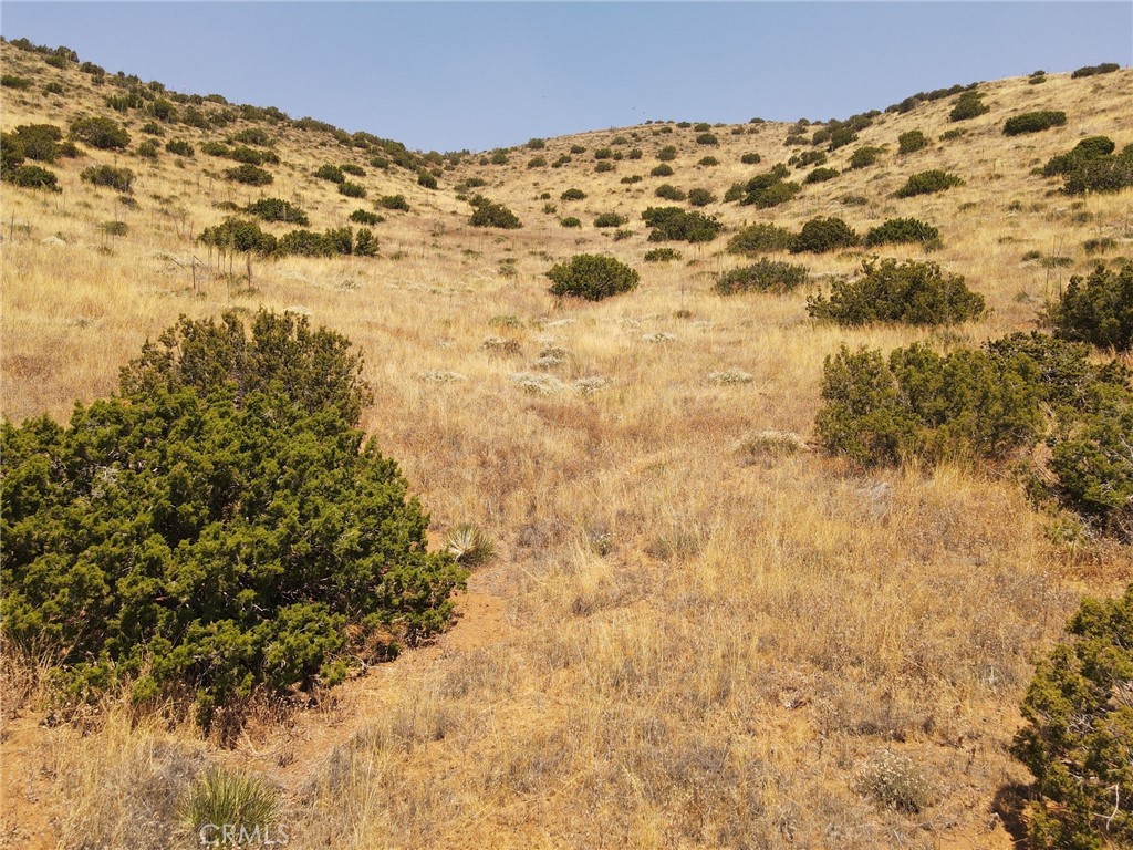 0 Valleysage Road Property Photo 1