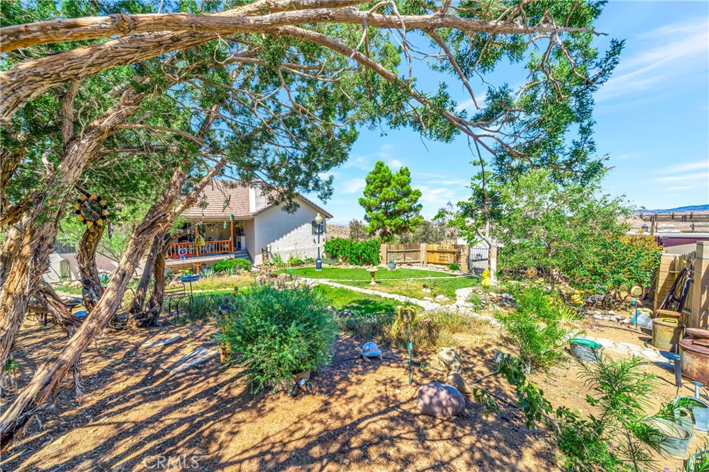 11720 Honeybee Lane Property Photo 62