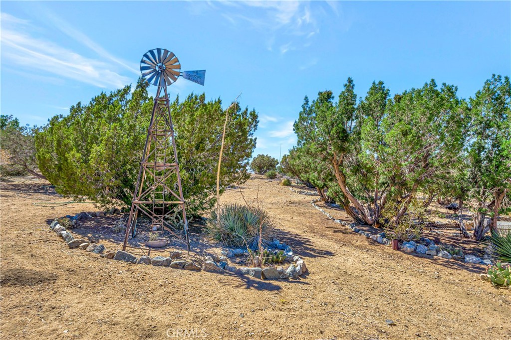 11720 Honeybee Lane Property Photo 71