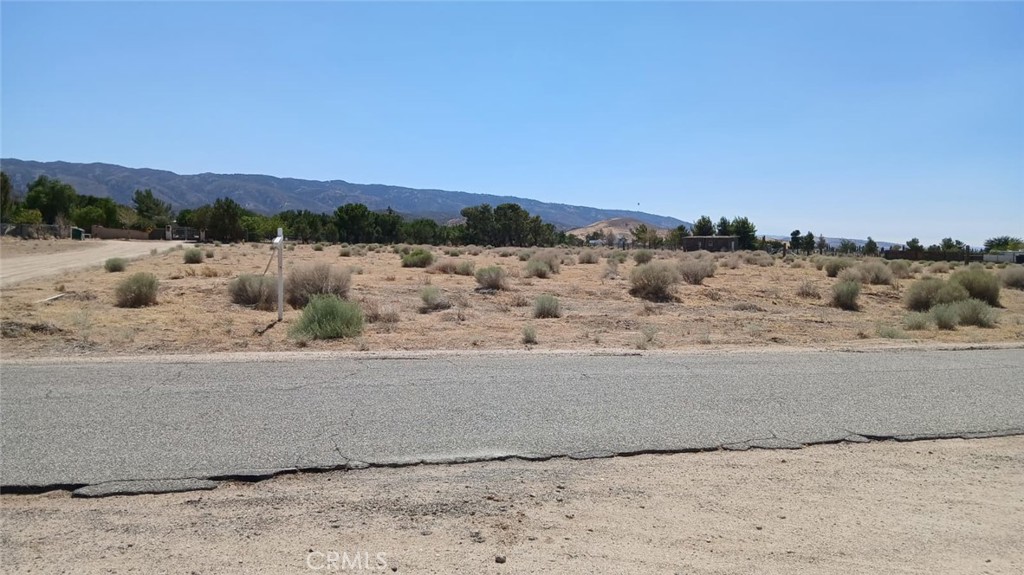 25606 La Petite Avenue Property Photo 1
