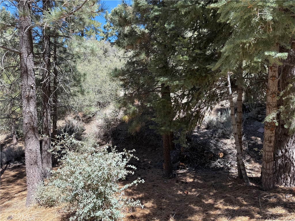 1420 Linden Drive Property Photo 1