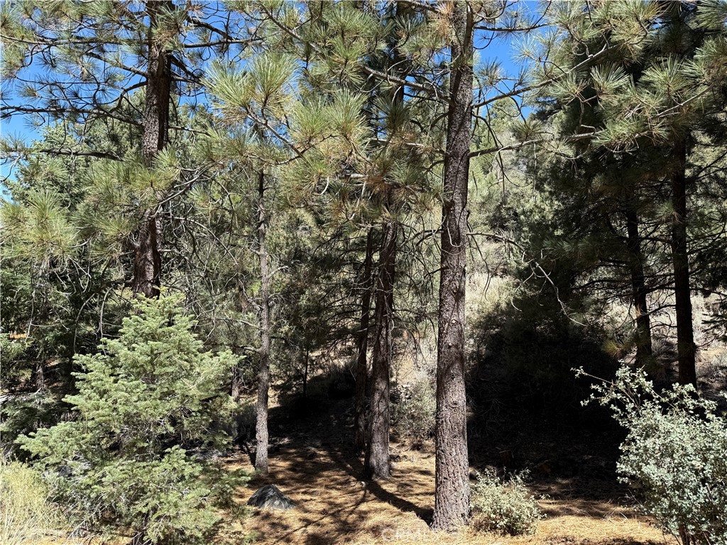 1420 Linden Drive Property Photo 3