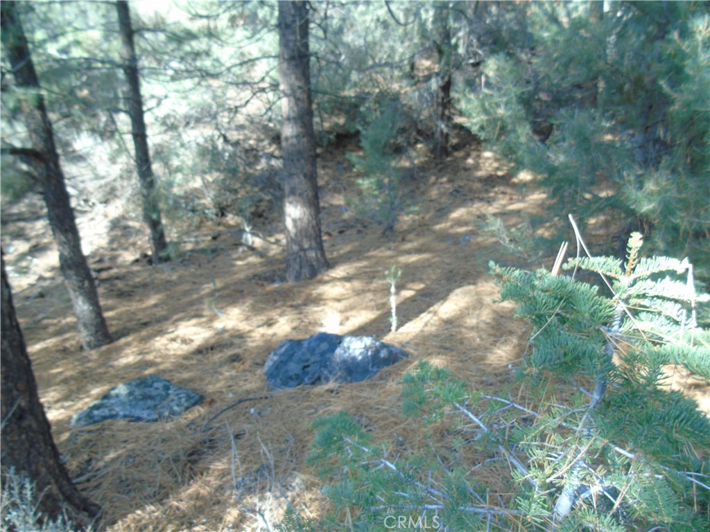1420 Linden Drive Property Photo 4