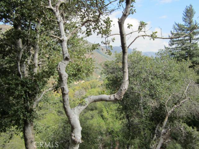 0 Burnt Mill Canyon Road Property Photo 5