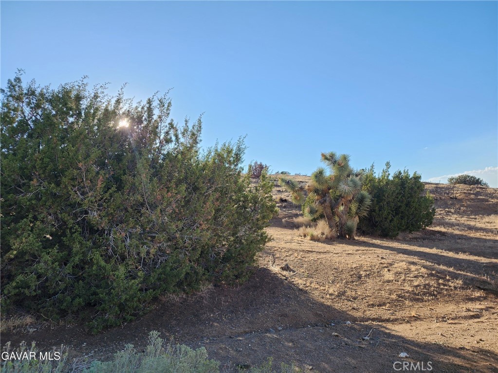 0 Vac/vic Ave L8/55th Street E Property Photo 2