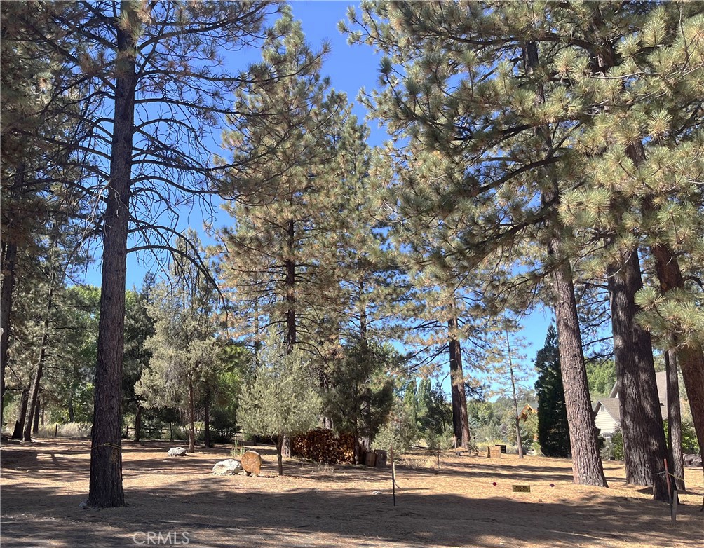 2613 Teakwood Court Property Photo 1