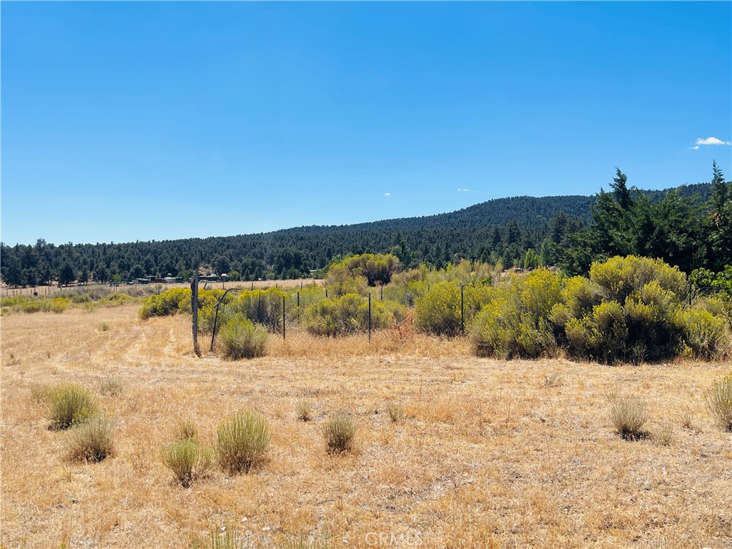 10500 Steinhoff Road Property Photo 16