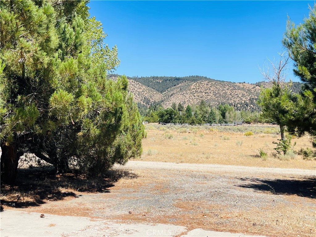 10500 Steinhoff Road Property Photo 18