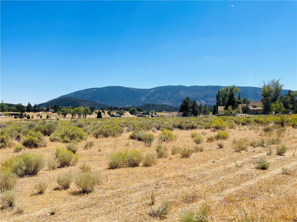 10500 Steinhoff Road Property Photo 74