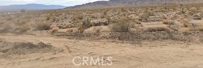101375 Nipton Road Property Photo 2