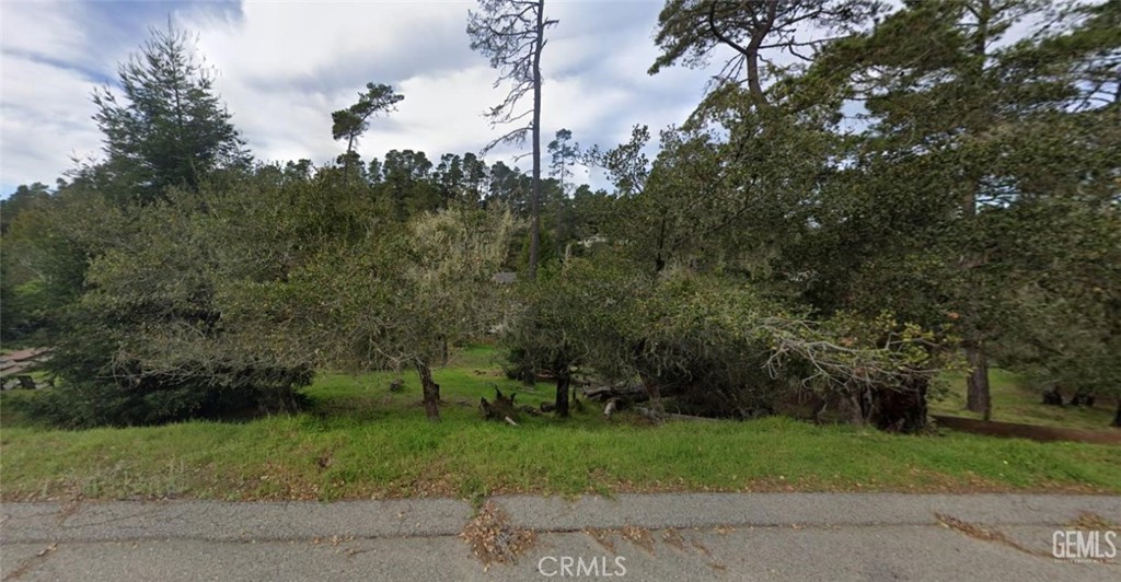 0 Orville Avenue Property Photo 4