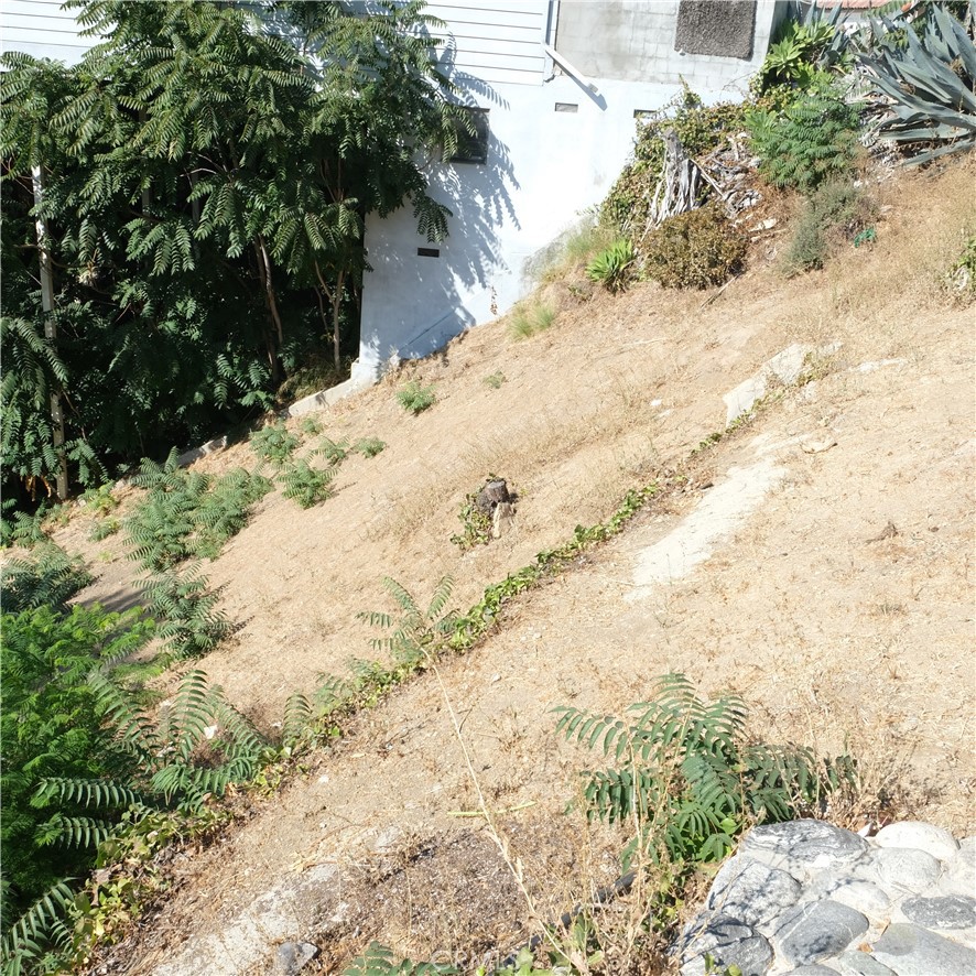 6682 Whitley Terrace Property Photo 9