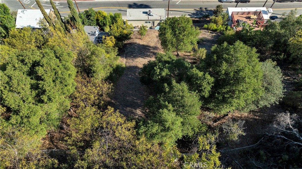 12452 Laurel Terrace Property Photo 38