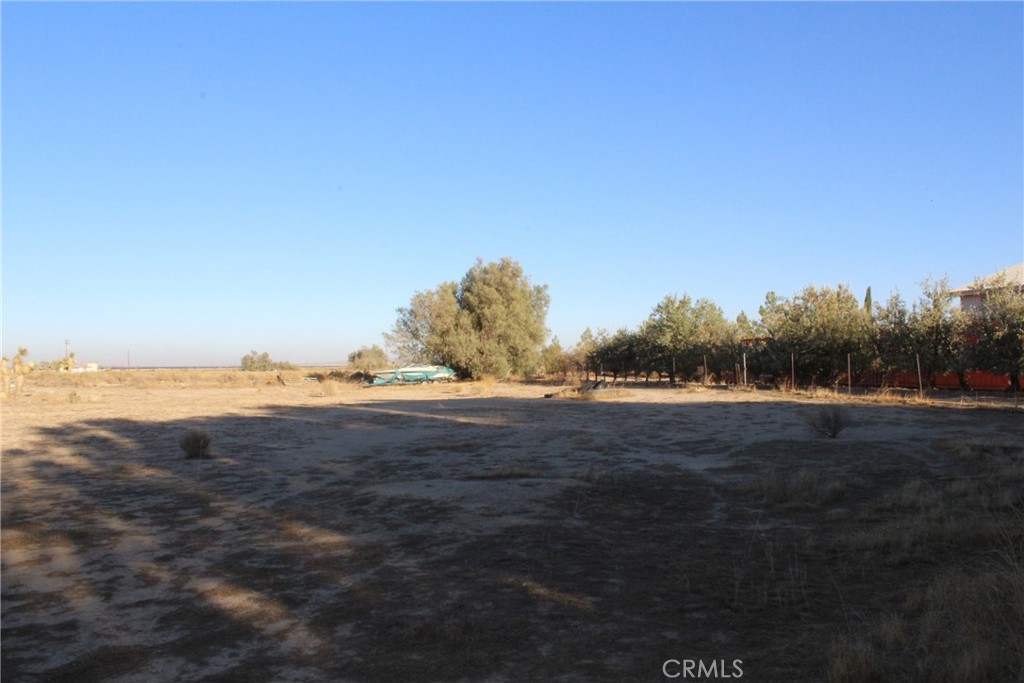 9485 Elberta Property Photo 4