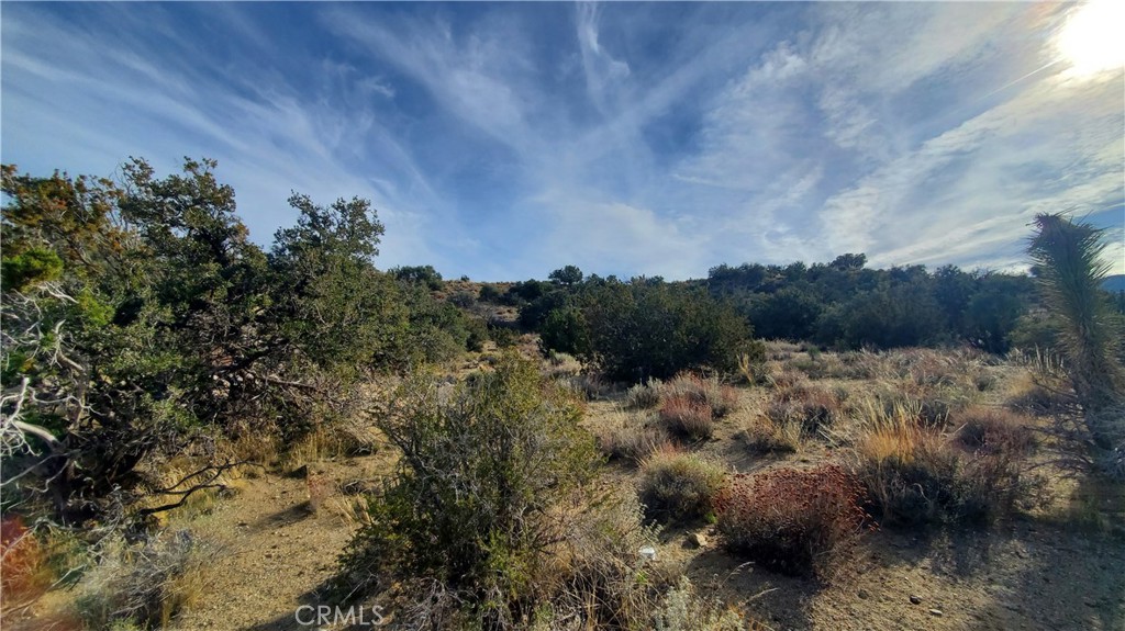0 Vicinity Ross Road E Property Photo 11