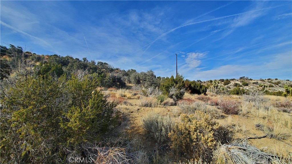0 Vicinity Ross Road E Property Photo 14