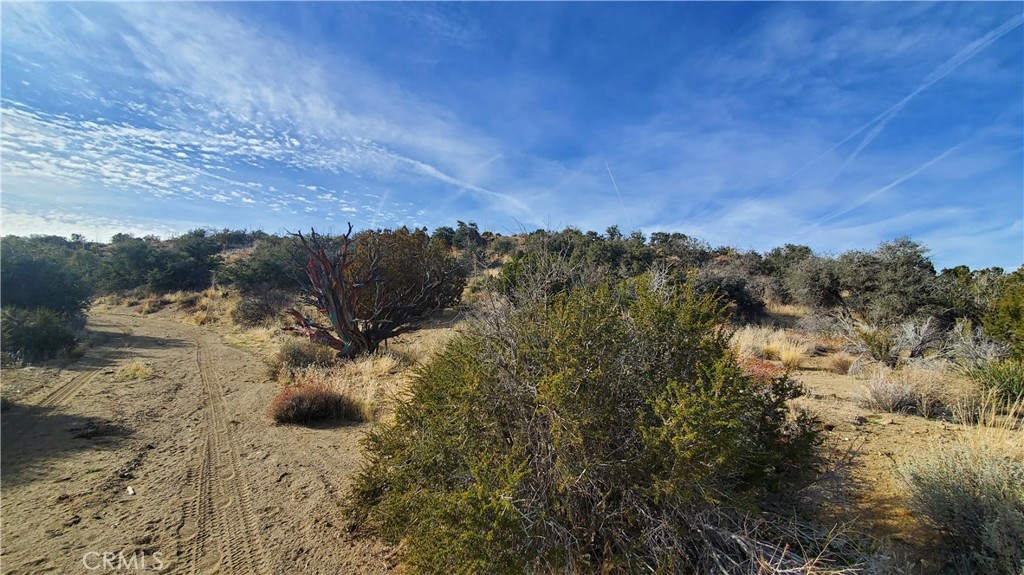 0 Vicinity Ross Road E Property Photo 15