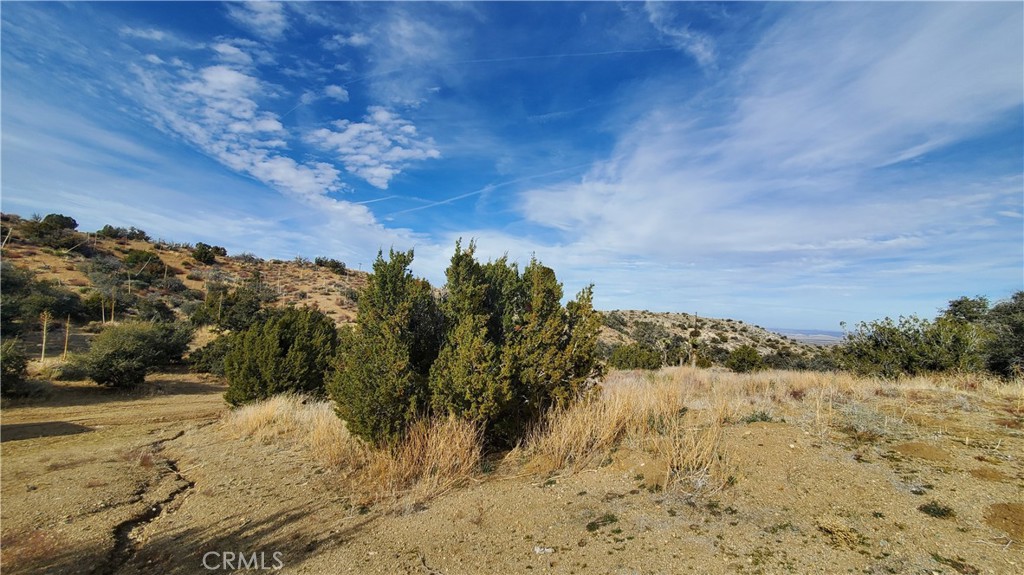 0 Vicinity Ross Road E Property Photo 35