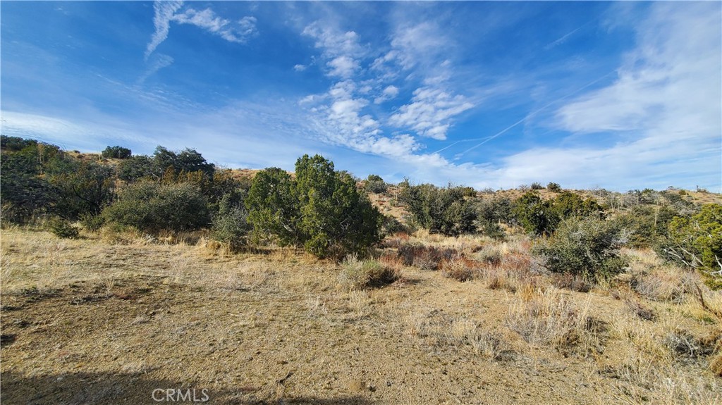 0 Vicinity Ross Road E Property Photo 41