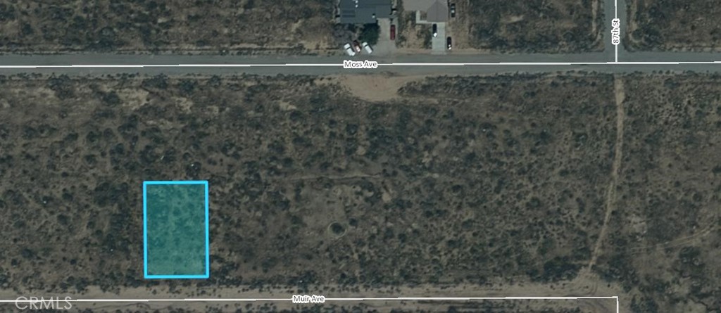 102 Muir Avenue Property Photo 2