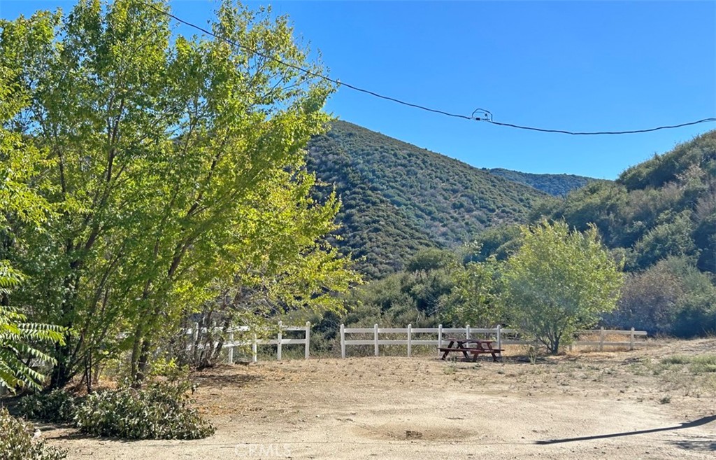 43155 Lake Hughes Property Photo 3