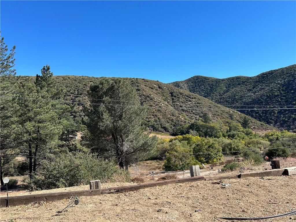 43155 Lake Hughes Property Photo 16