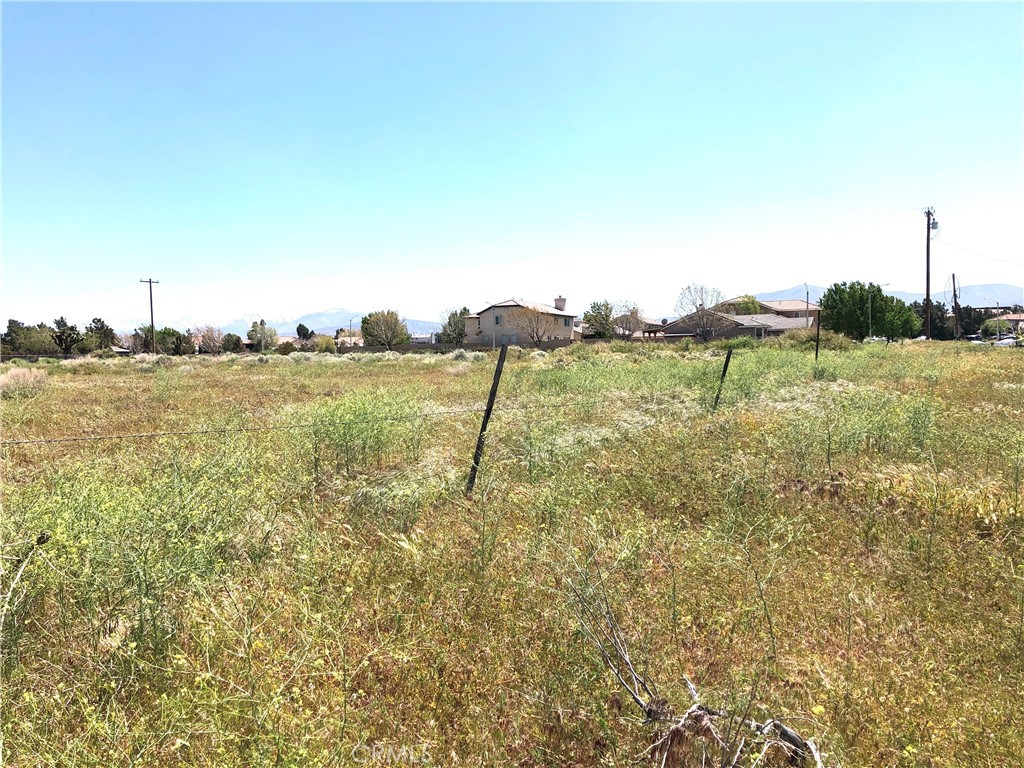 0 Palomino Ct/cor E Ave S-12 Property Photo 3