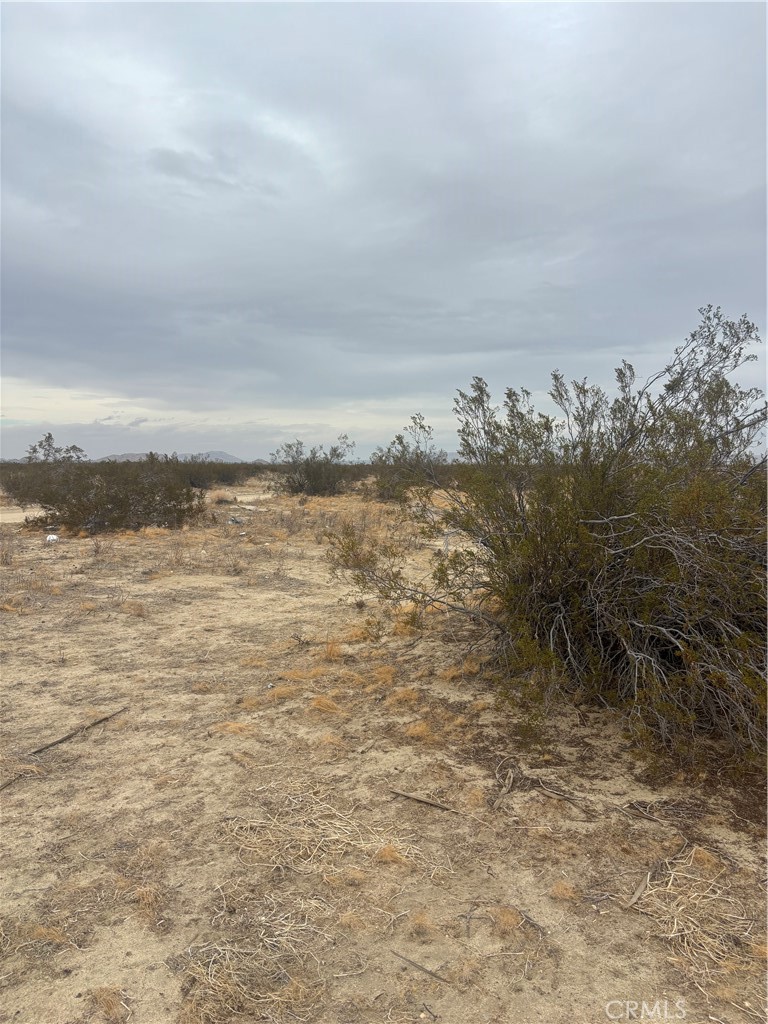 0 Ste/vic Property Photo 6