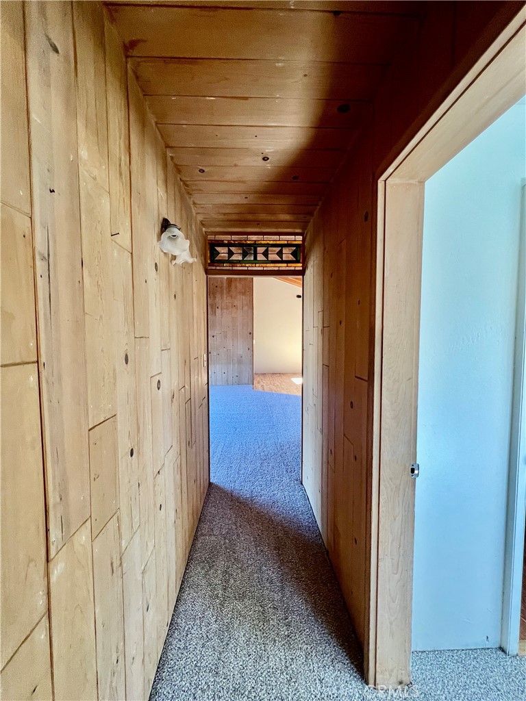 1118 Snowline Property Photo 22