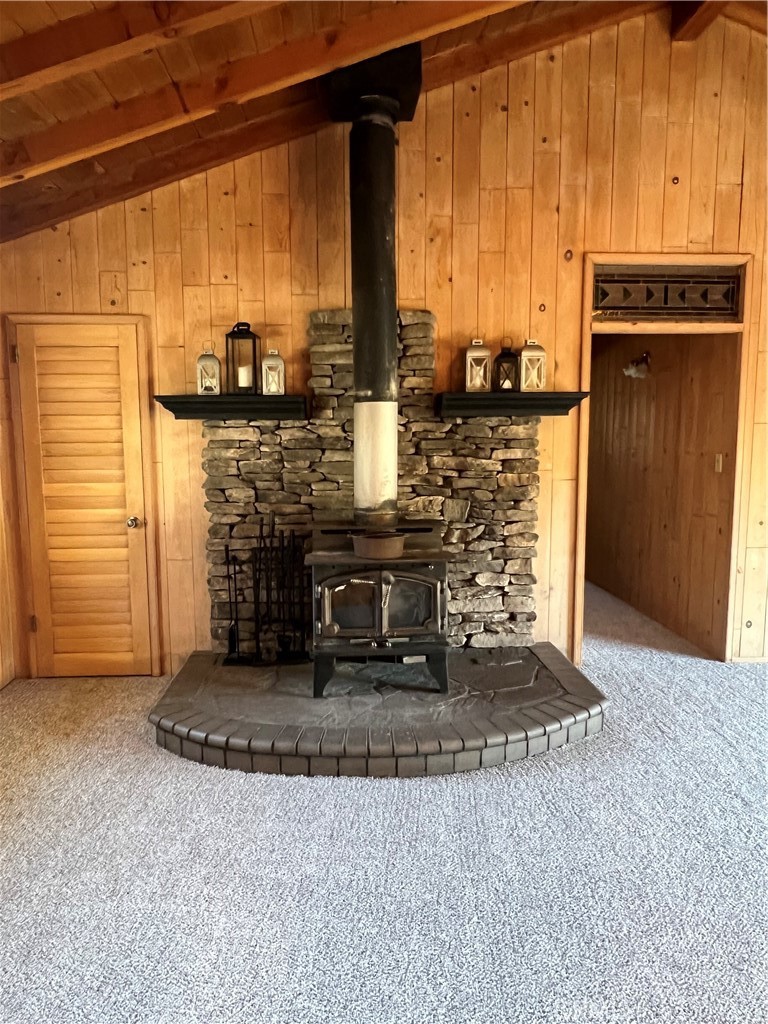 1118 Snowline Property Photo 24