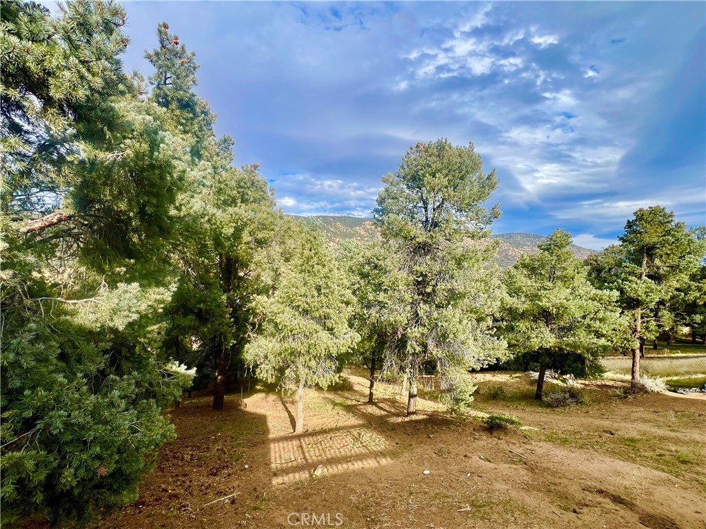 1118 Snowline Property Photo 29