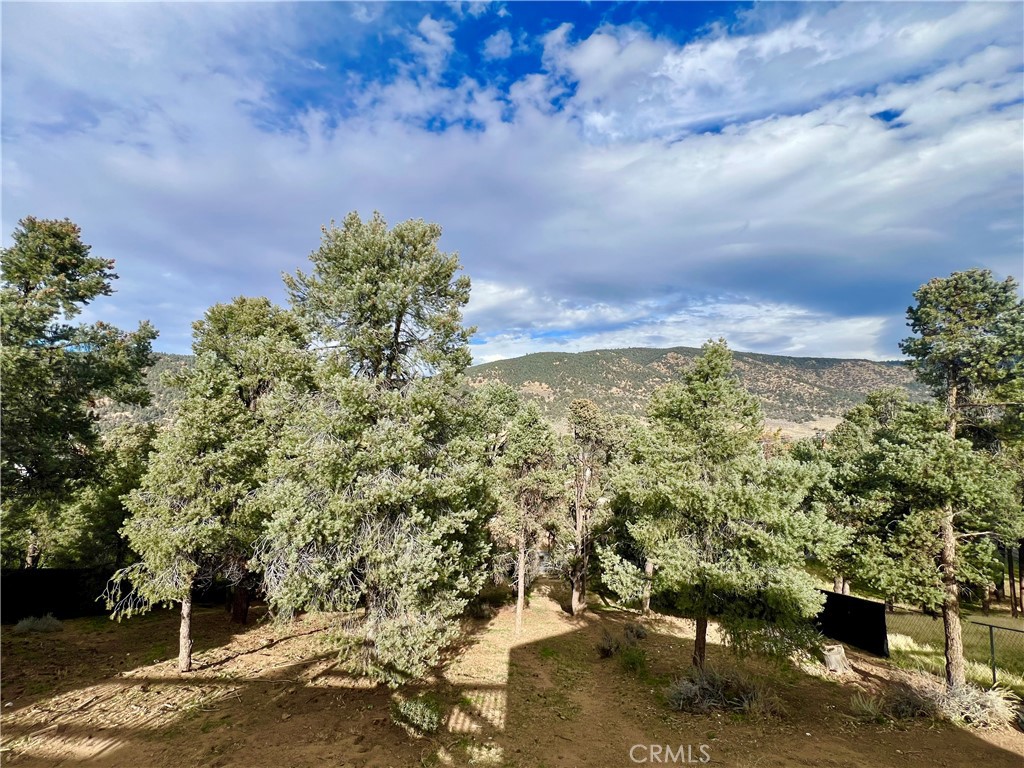 1118 Snowline Property Photo 30
