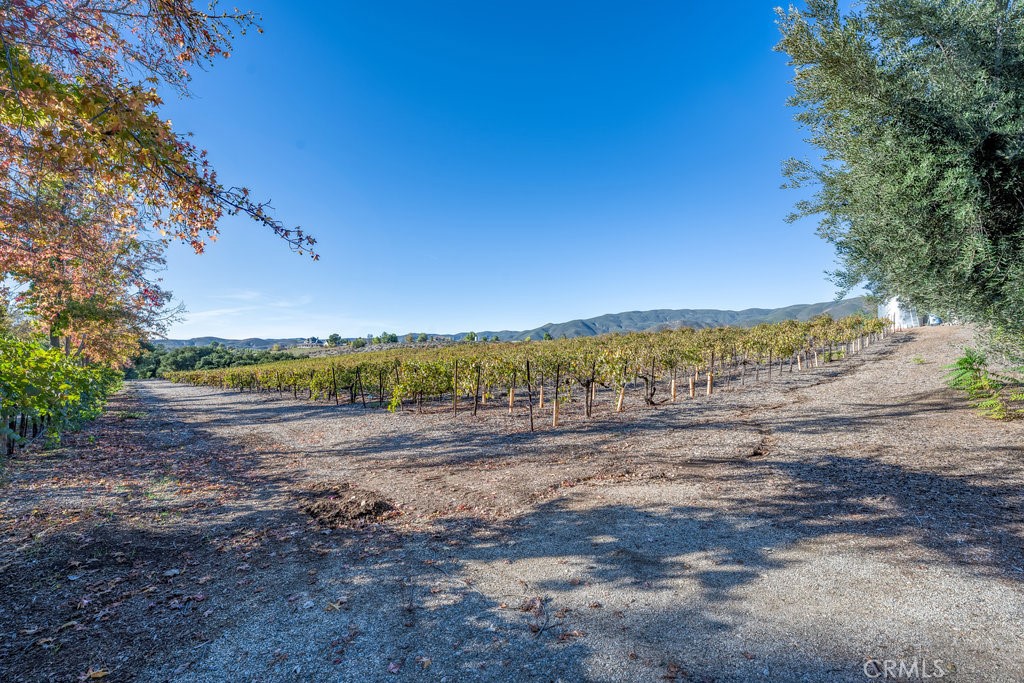 12625 Sierra Property Photo 70
