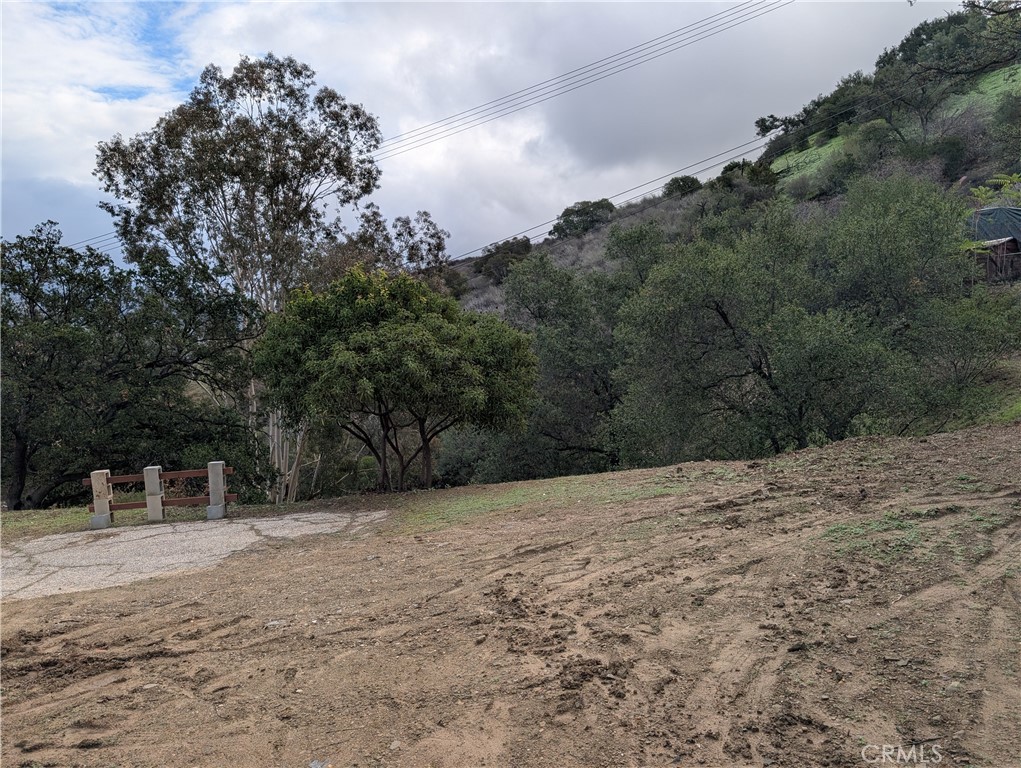 1087 Loma Lane Property Photo 9