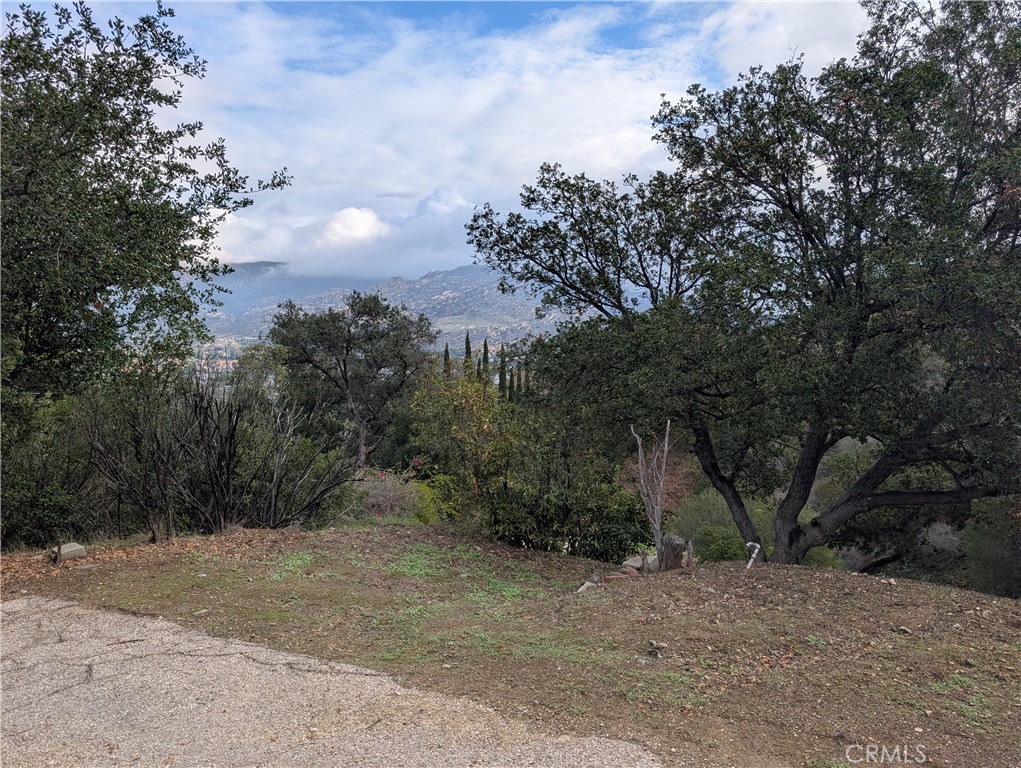 1087 Loma Lane Property Photo 13