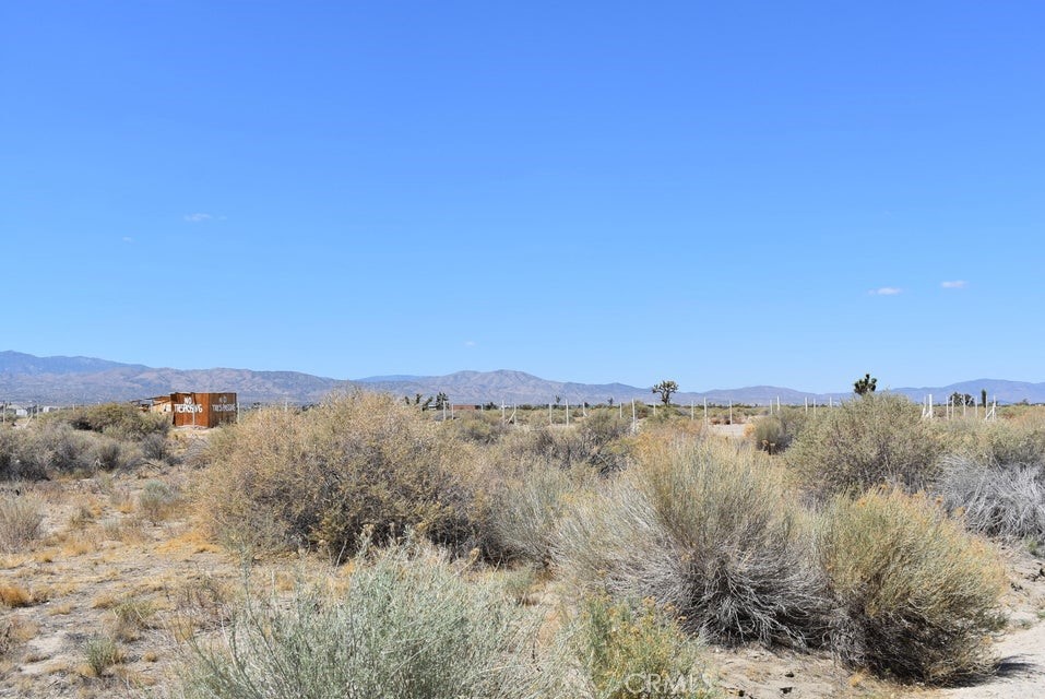 14500 Ave R Property Photo 4