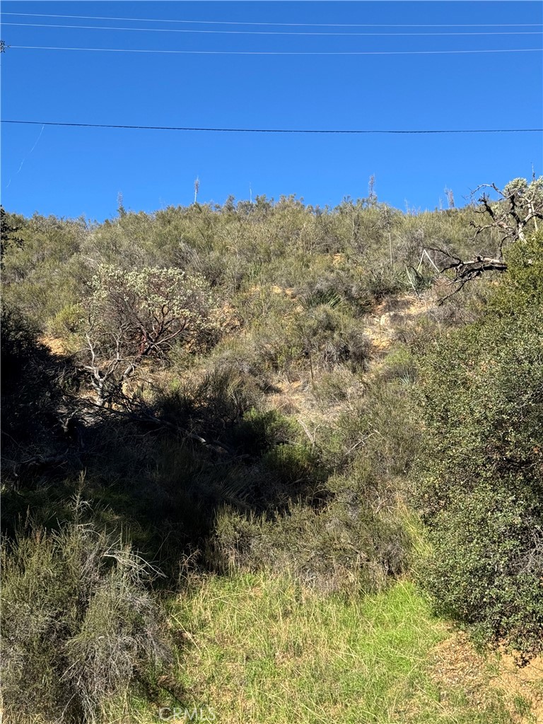 0 Vac/san Francisquito Cyn Property Photo 3