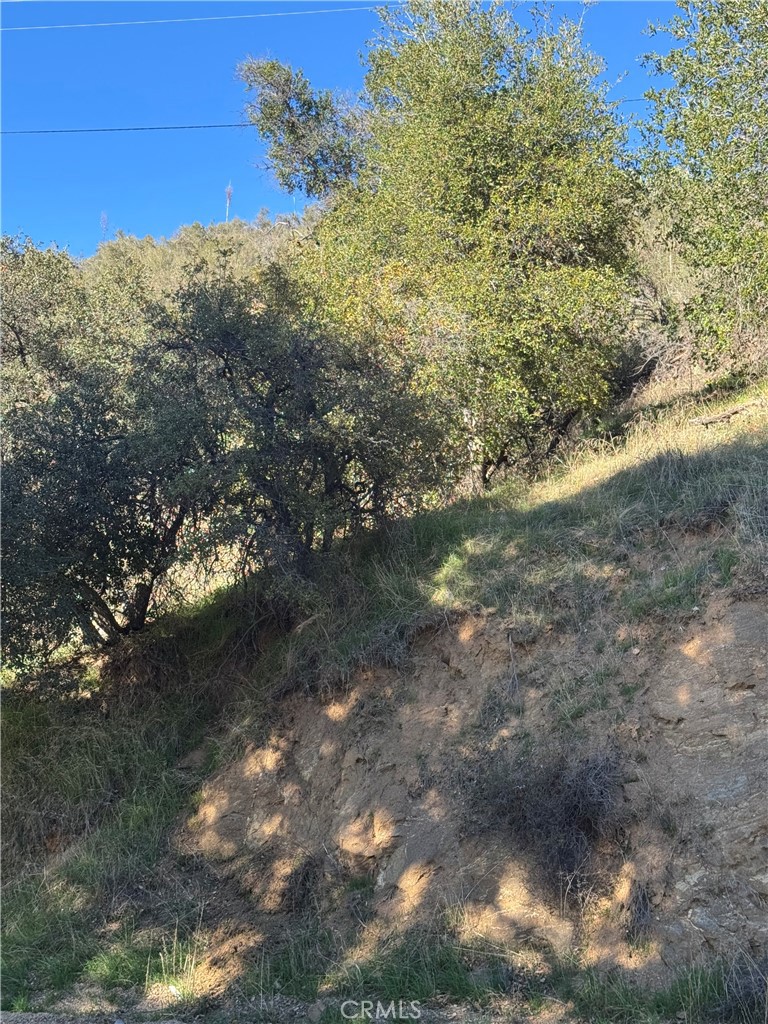 0 Vac/san Francisquito Cyn Property Photo 4
