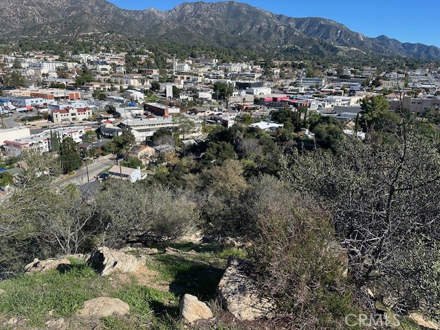 9856 Estaban Property Photo 1