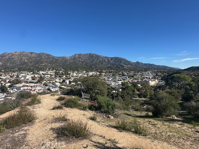 9856 Estaban Property Photo 2