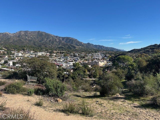 9856 Estaban Property Photo 3