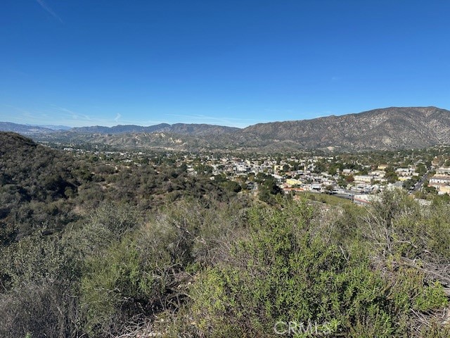 9856 Estaban Property Photo 6